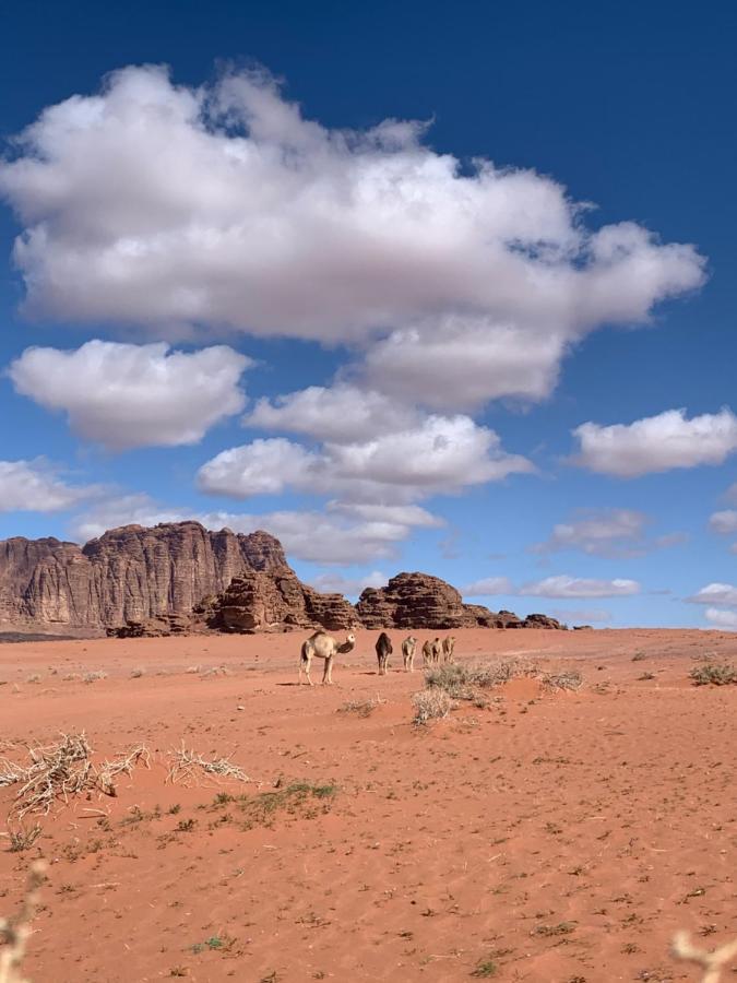 Wadi Rum Story Экстерьер фото