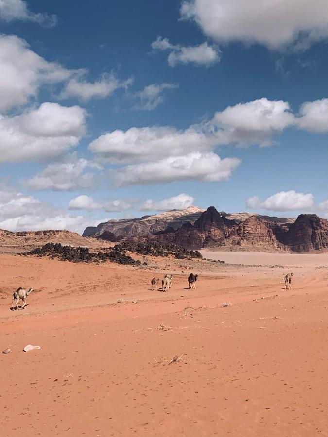 Wadi Rum Story Экстерьер фото